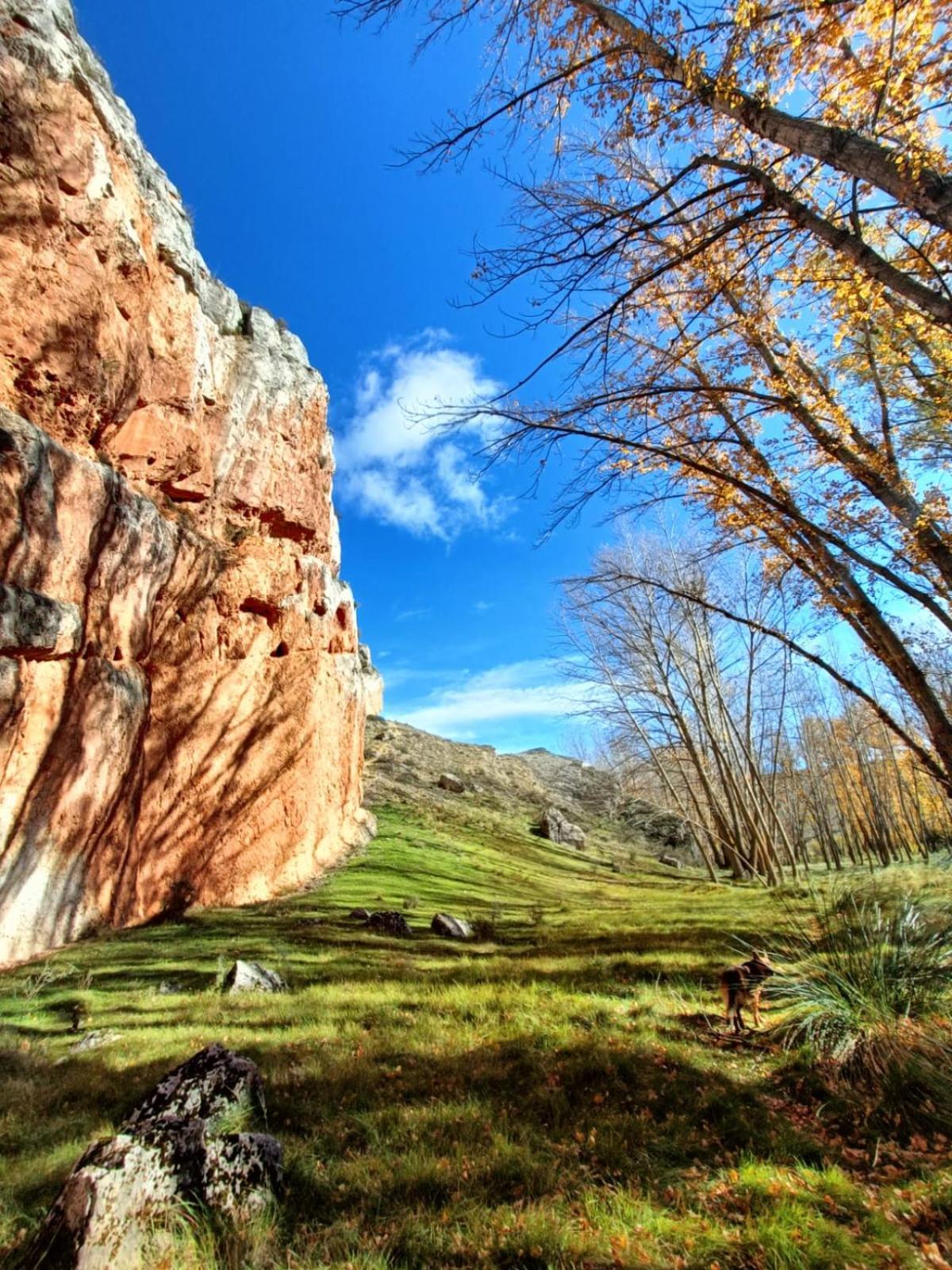La Cabana Del Risco Ligos Buitenkant foto